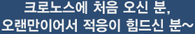 크로노스에 처음 오신분, 오랜만이어서 적응이 힘드신 분